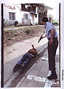 Goran Jelišić shooting a victim Ban Ki Moon and Fausto Pocar