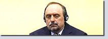 Goran Hadžić Case