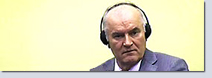 Ratko Mladić Case